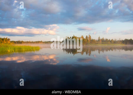Foggy island in a canadian lake while the sun rises. Stock Photo