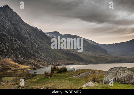 Moody, scenic view of Llyn Ogwen, Snowdonia National Park, North Wales, UK Stock Photo