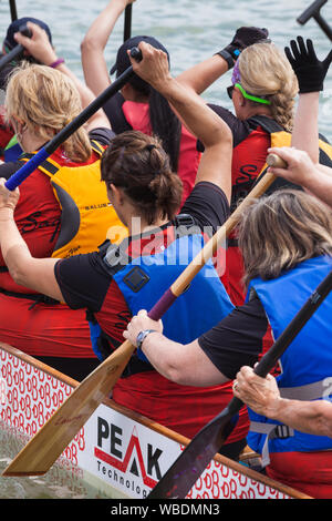 Womens team returning to the dock after finishing their heat at the 2019 Steveston Dragon Boat Festival in British Columbia Canada Stock Photo