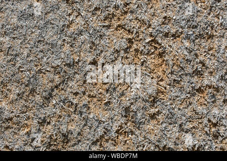 Wooden background, plywood texture,compressed sawdust Stock Photo
