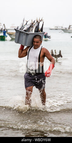 Puerto Lopez, Ecuador - Nov 27, 2012: Man carries bin of fish from boat to scale for sale Stock Photo