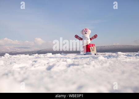 Snowman in pink wig and mittens with gift pack. Stock Photo