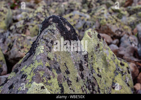 Large stones from rock river covered with green and black moss. Selective focus. The background is blurry. Stock Photo