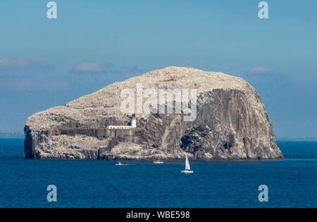 The Bass Rock situated in the Firth of Forth near North Berwick, Scotland. The Rock is home to over 150,000 gannets at the peak of the season. Stock Photo