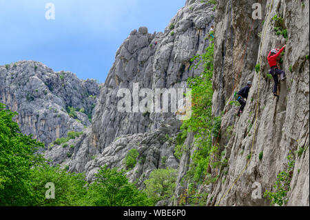 Europe; European; Eastern Europe; South East Europe;Dalmatia, Balkan; Croatia; Paklencia, National Park, Stock Photo