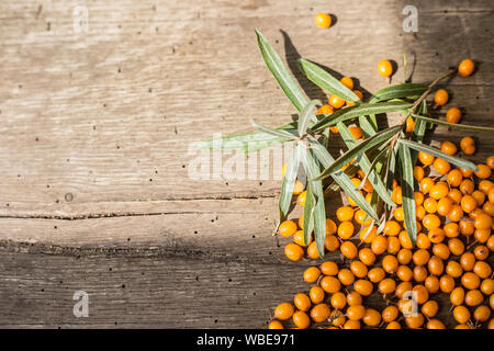 Sea buckthorn berries on a wooden background. Autumn decorative frame or border with fresh ripe sea-buckthorn berries and old wooden plank Stock Photo