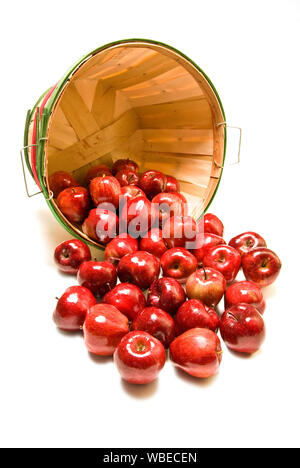 Vertical shot of a bushel basket with shiny red apples spilling out on a white background. Stock Photo