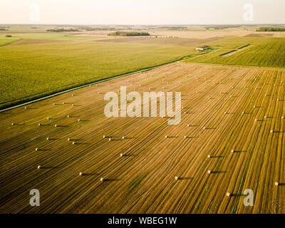 Agricultural fields during golden summer sunset. Aerial view. Stock Photo