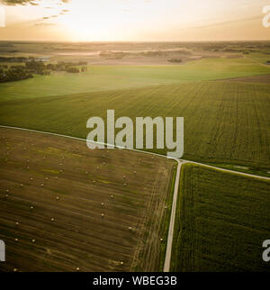 Agricultural fields during golden summer sunset Stock Photo
