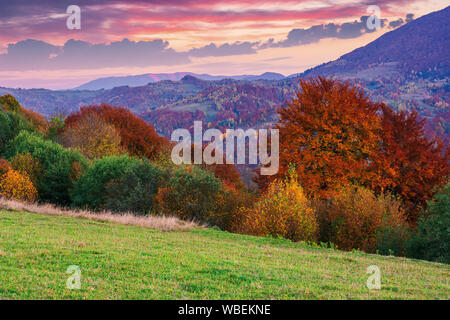 gorgeous purple dusk scenery of countryside. trees in fall colors. dominant red color of foliage. clouds on the sky above the distant ridge. green gra Stock Photo