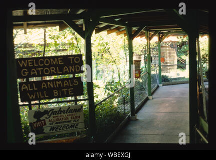 Gatorland, Route 1, St. Augustine, Florida Stock Photo