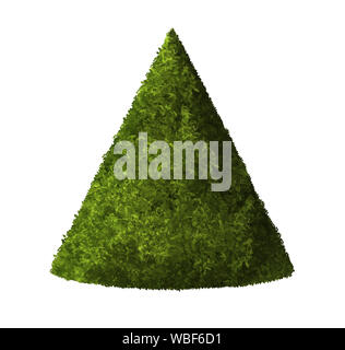 Plant cone green colour. 3D Illustration render. White background isolate. Nature and Gardens design. Stock Photo