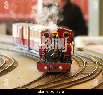 Red miniature steam train, producing cloud of steam, with locomotive pulling carriages around indoor track Stock Photo