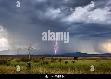 Lightning bolts strike from a monsoon thunderstorm near Sonoita, Arizona Stock Photo