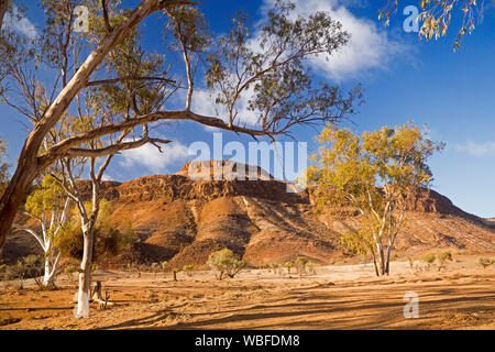 Stunning Australian outback landscape at Mount Chambers gorge during drought, with barren ground hemmed by rugged eroded hills under blue sky Stock Photo