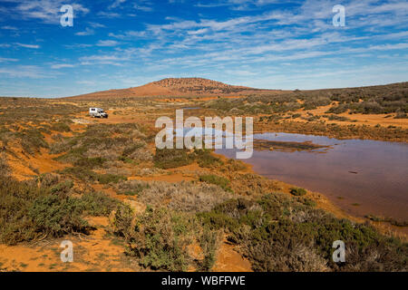 Outback landscape with low vegetation on red soil, campervan beside water of Willochra Creek under blue sky  in Flinders Ranges region South Australia Stock Photo