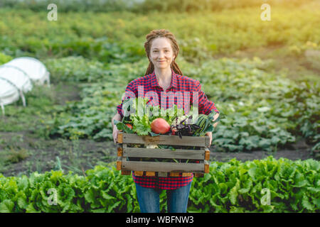 A young woman farmer agronomist holds a box of fresh vegetables and green lettuce in the garden. Organic raw products grown on a home farm Stock Photo