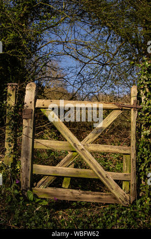 Very old wooden gate leading to overgrown wooded area beyond Stock Photo