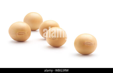 Soybean isolated on white background Stock Photo