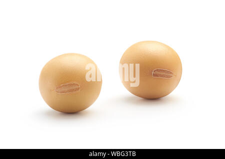 Soybean isolated on white background - clipping path included Stock Photo