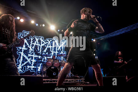 Camp Bestival 2019 - Day 1 - Performances Featuring: Napalm Death Where: East Lulworth, Dorset, United Kingdom When: 26 Jul 2019 Credit: WENN.com Stock Photo