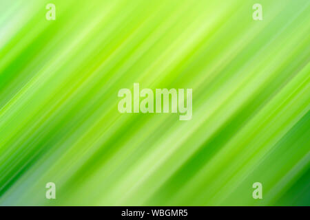 Diagonal lines of strip. Abstract background Background for modern graphic design and text. Stock Photo