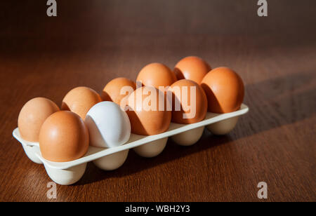 nine brown eggs and one white egg in a plastic tray on the table. concept. i am different from others Stock Photo