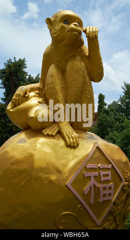 A Chinese gold monkey statue in Lopburi, Thailand. The town hosts thousands of monkees. Stock Photo