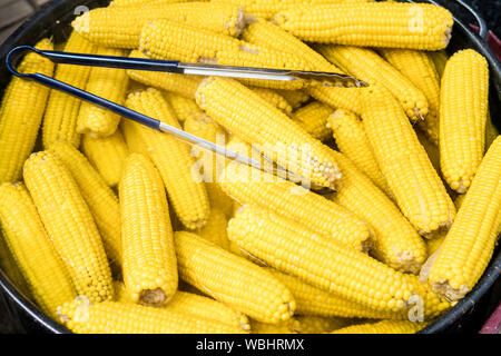 Sweet corn cobs preparing in a big bowl Stock Photo