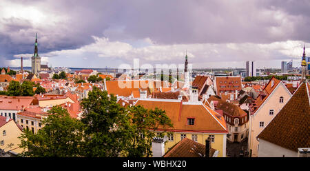 Panoramic skyline scenery of Tallinn Old Town from Kohtuotsa Viewing Platform, Estonia during summer Stock Photo