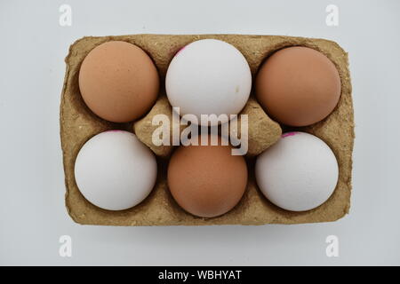 Three white and three brown eggs.  Nutritionally no different, we are told, yet people still prefer brown eggs. Stock Photo