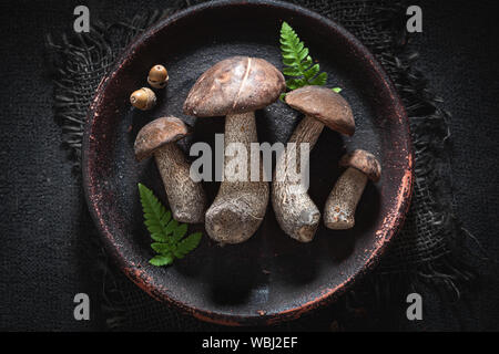 Wild mushrooms on old clay plate with fern Stock Photo