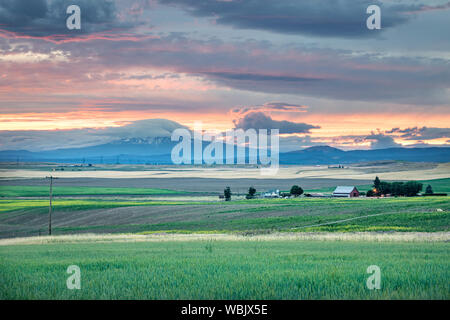 Western USA Countryside Sunset: Rolling fields and expansive farmland with a snow-capped mountain in the distance at sunset - Washington, USA Stock Photo