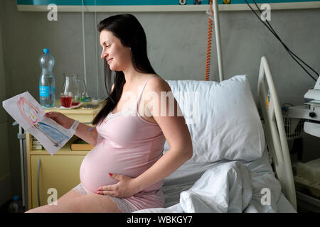 Risk pregnancy, pregnant woman looks at picture of her baby while waiting for birth, Carlsbad, Czech Republic Stock Photo