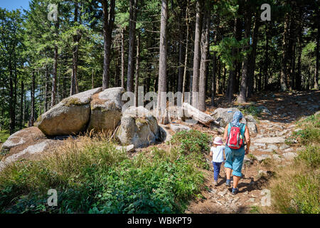 Warmensteinach, Germany - August 22, 2019: A mother with her daughter in her hand is hiking upwards the Ochsenkopf mountain on a stony footpath in the Stock Photo