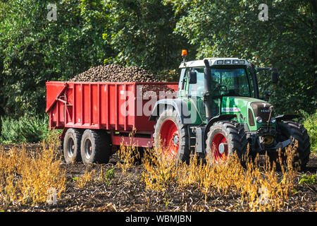 Potato harvest machinery in Burscough, Lancashire. UK Weather. Farmers using Fendt 820 tractors and Grimme KSA 75-2 two-row trailed harvester are lifting a crop of potatoes as the hot, dry dusty summer conditions continue.  Farmers' representatives are warning of serious concerns if the extended spell of hot, dry weather continues. Potatoes are the latest crop in line for price rises thanks to a shortage caused by an unusually cold winter, followed by the scorching summer. Herbicide, carfentrazone-ethyl is applied to a crop shortly before harvest to kill the foliage. Stock Photo
