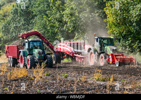 Potato harvest machinery in Burscough, Lancashire. UK Weather. Farmers using Fendt 820 tractors and Grimme KSA 75-2 two-row trailed harvester are lifting a crop of farm potatoes as the hot, dry dusty summer conditions continue.  Farmers' representatives are warning of serious concerns if the extended spell of hot, dry weather continues. Potatoes are the latest crop in line for price rises thanks to a shortage caused by an unusually cold winter, followed by the scorching summer. Herbicide, carfentrazone-ethyl is applied to a crop shortly before harvest to kill the foliage. Stock Photo