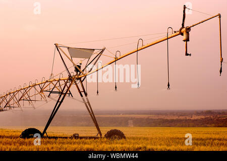 Irrigation system watering a wheat field Stock Photo