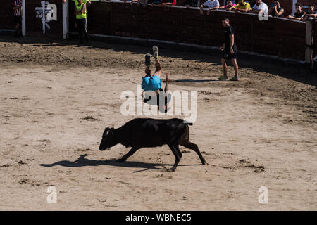 San Sebastian de los Reyes, Madrid, Spain. 27th Aug 2019. A reveler jumping over a bull after the first running of the bulls ('encierros') in the municipality of San Sebastian de los Reyes, near Madrid, also known as 'little Pamplona'. Credit: Marcos del Mazo/Alamy Live News Stock Photo