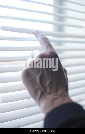 male hand with index finger on the blinds. Stock Photo