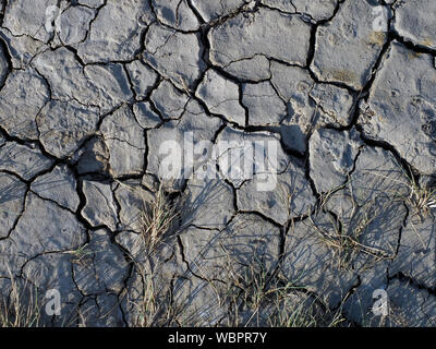 The cracked surface of salt-marsh mud dried by the hot summer sun along the edge of Morston Creek, Norfolk. Stock Photo