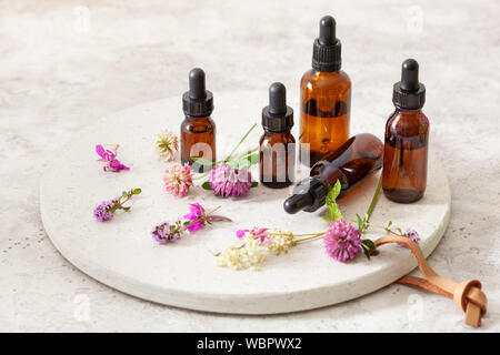 medical flowers herbs essential oils in bottles. alternative medicine. clover milfoil tansy rosebay Stock Photo