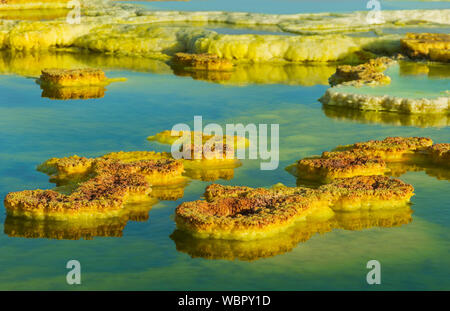 Sulphur deposits in an acid brine pool, geothermal field of Dallol, Danakil depression, Afar Triangle, Ethiopia Stock Photo