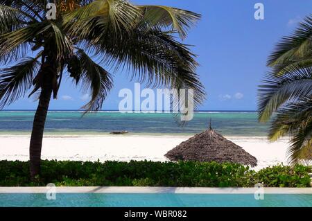 White beach paradise bathed in sunlight, Zanzibar, Tanzania Stock Photo