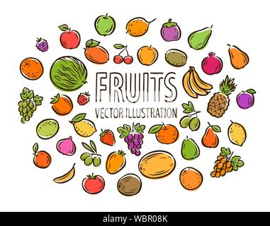 Fruit set isolated on white background. Vector illustration Stock Vector