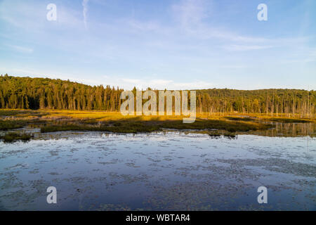 Lake landscape at West Rose Pond in Algonquin Provincial Park Stock Photo