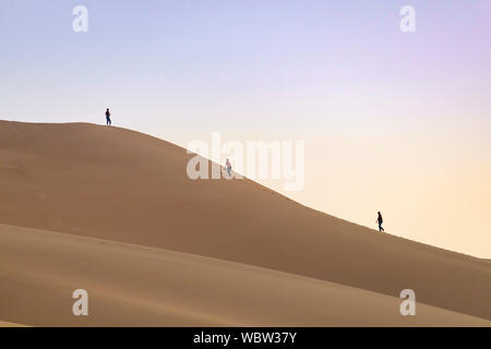 Khongoryn Els also called Duut Mankhan is popularly known as the 'Singing Sands'. The sand dunes extend to over 965 square kilometres area and rising Stock Photo