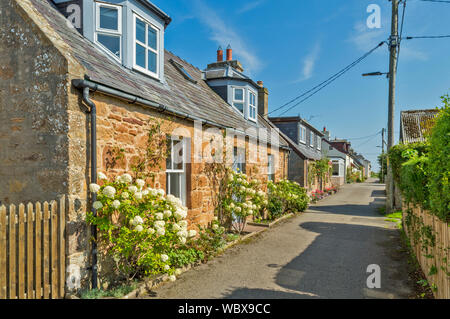 DORNOCH SUTHERLAND SCOTLAND THE HOUSES OF LITTLE TOWN IN CARNAIG STREET Stock Photo