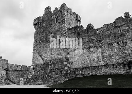 Ross Castle, 15th century tower house on Ross Island, Lough Leane, Killarney National Park, County Kerry, Ireland. Stock Photo