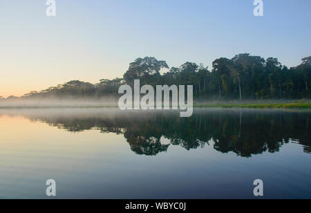 Lake Chimbadas at sunrise, Tambopata National Reserve, Peruvian Amazon Stock Photo